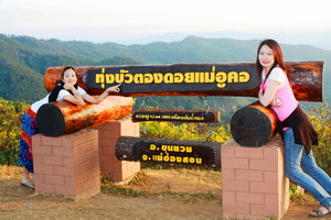 �ա�ѡ�ٻ���ͤ����Ѵਹ